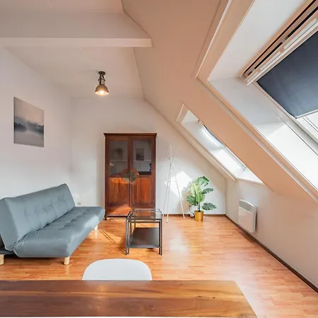 Bright And Apartment *